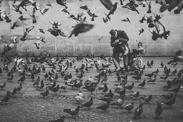 Photograph Teemu Lautamies Paris on One Eyeland